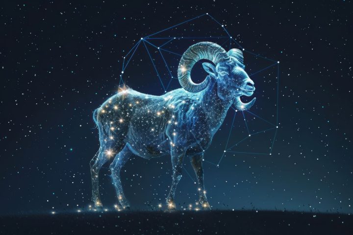 aries-main